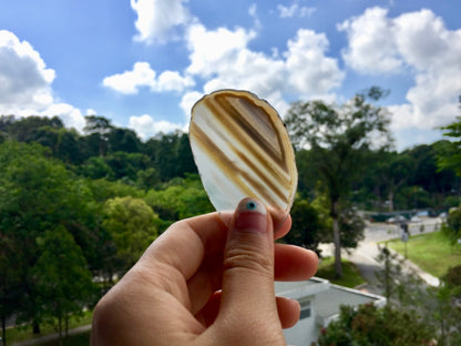 Agate Slice #10 by Vivian Lam