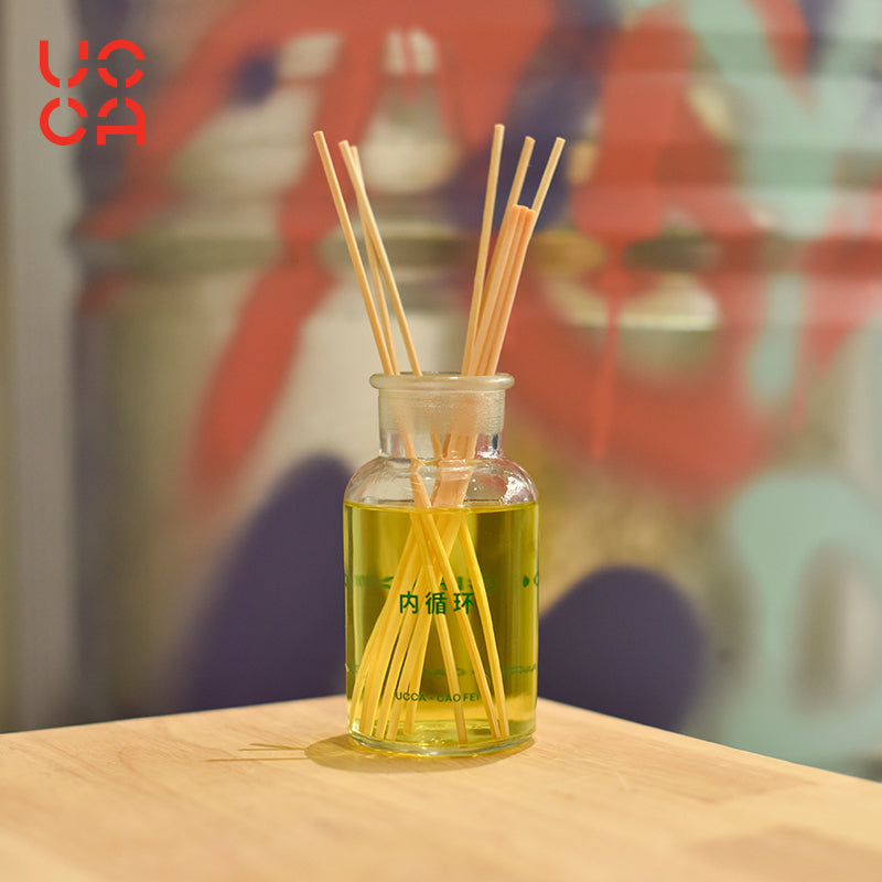 STE Reed Diffuser Set by UCCA X Cao Fei