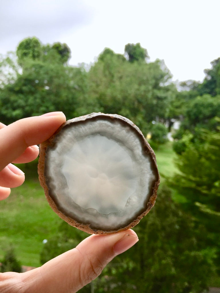 Agate Slice #42  by Vivian Lam