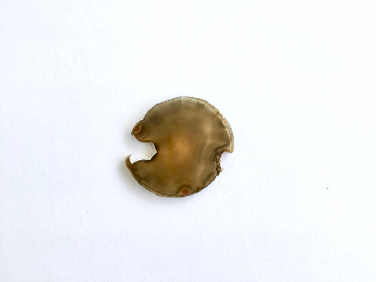 Agate Slice #6 by Vivian Lam