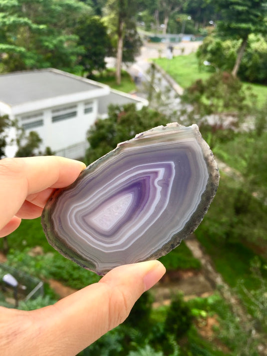 Agate Slice #40.5  by Vivian Lam