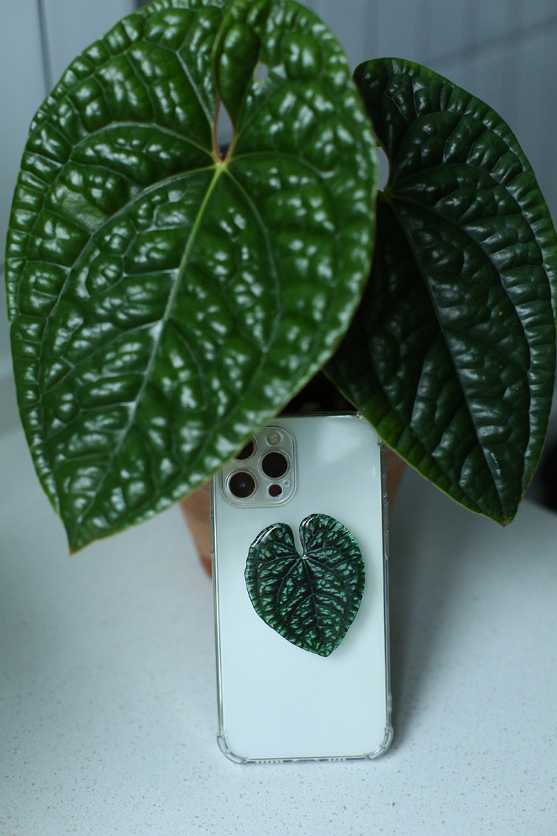 Anthurium Pop Socket by Veronique