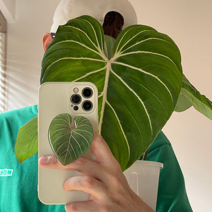 Anthurium Pop Socket by Veronique