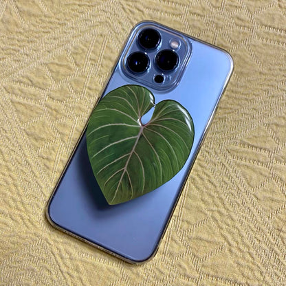 Anthurium Pop Socket by Veronique