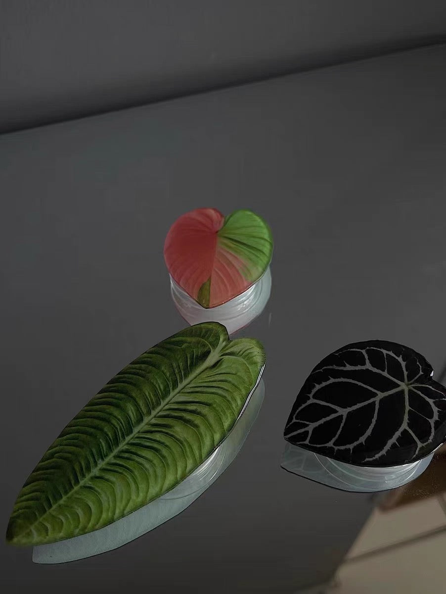 Anthurium Pop Socket by Veronique