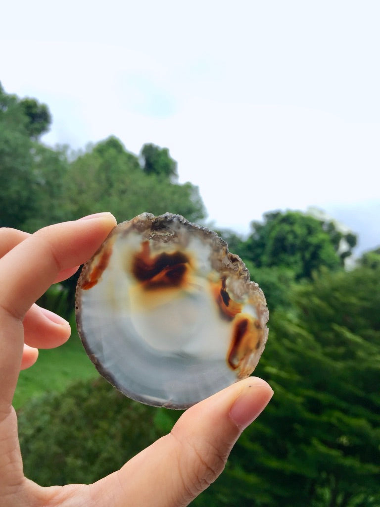 Agate Slice #21 by Vivian Lam