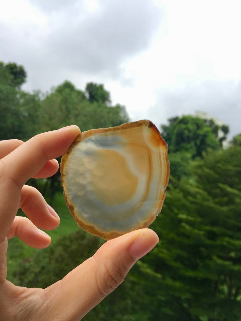 Agate Slice #20 by Vivian Lam
