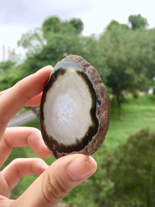 Agate Slice #43  by Vivian Lam
