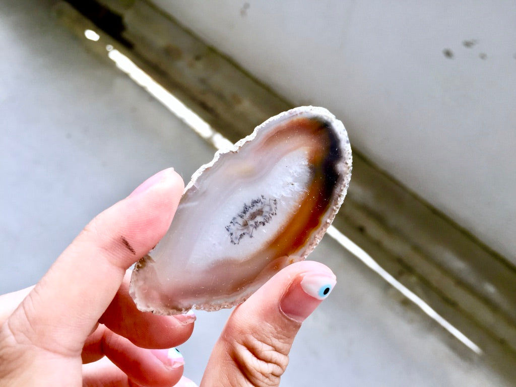Agate Slice #9 by Vivian Lam