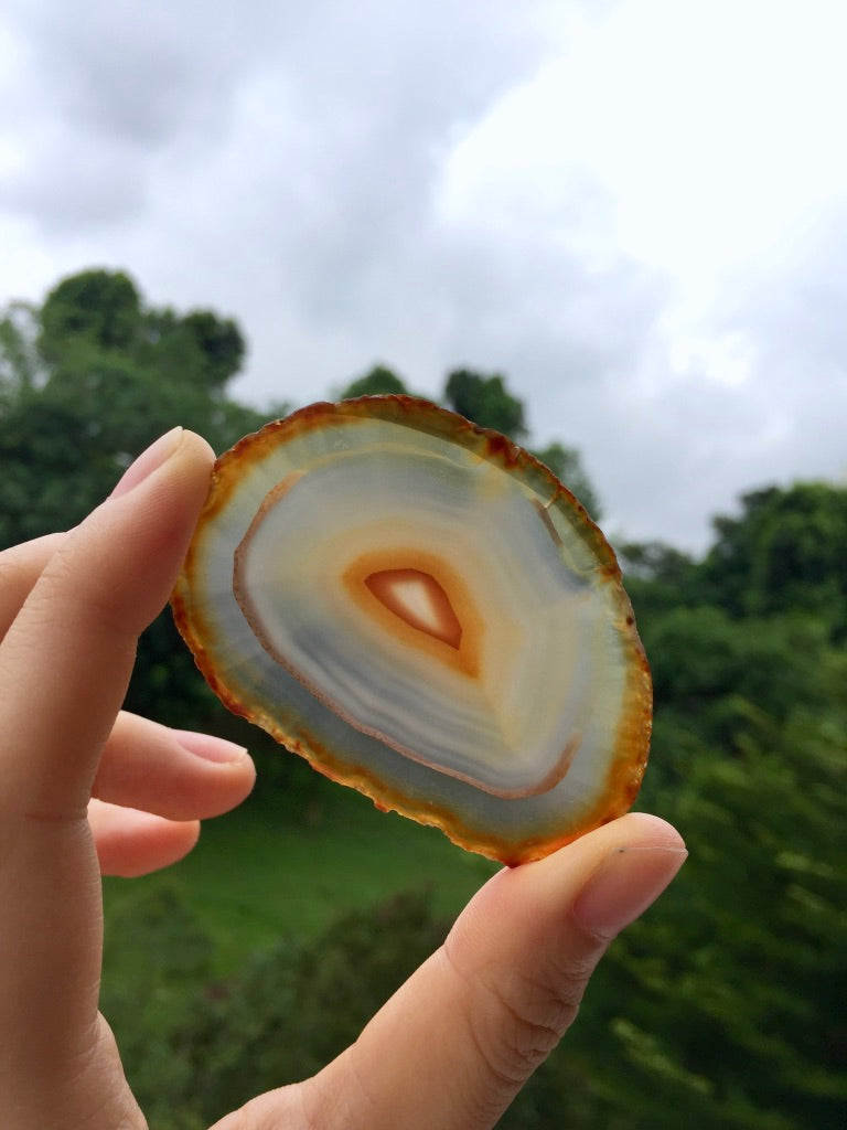 Agate Slice #30 by Vivian Lam