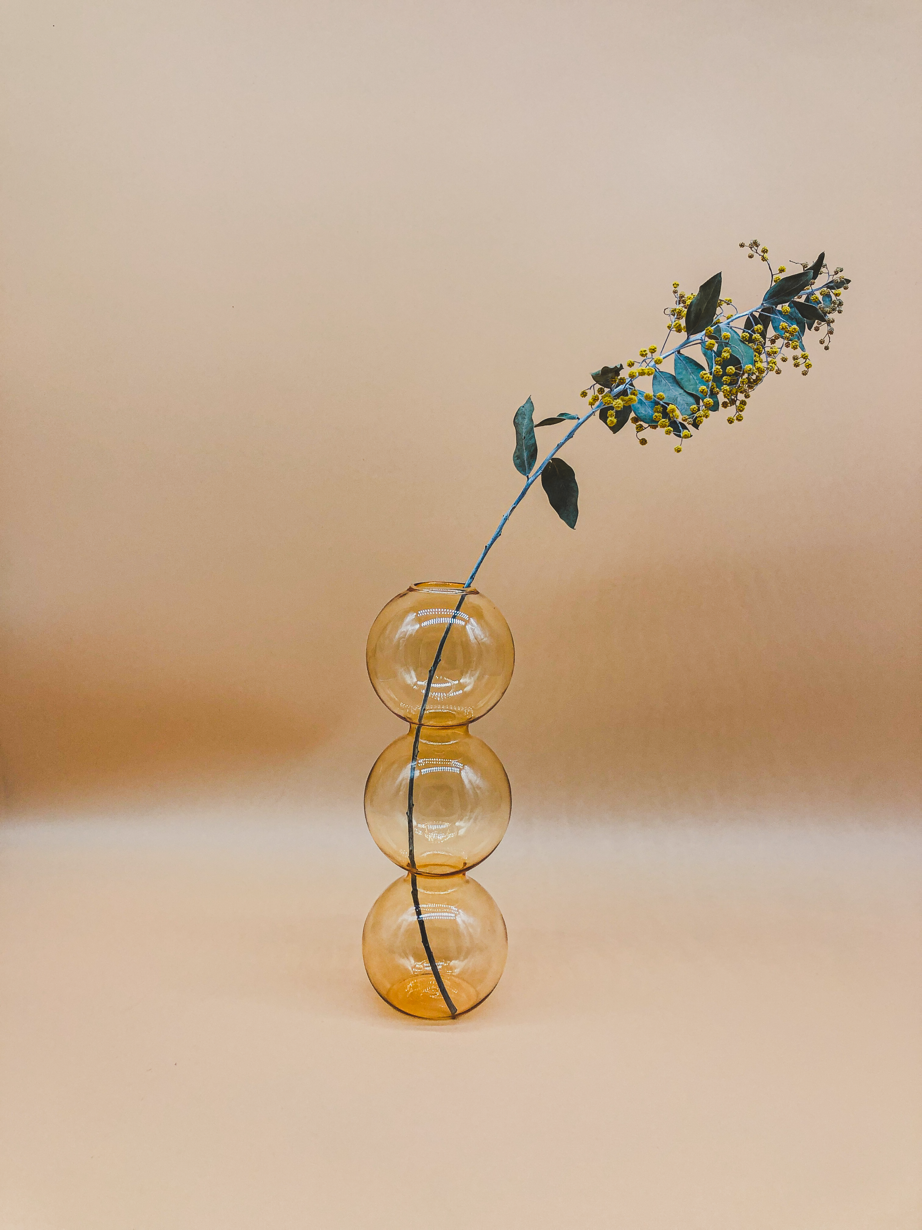 The Amber Bubble Vase by PROSE Botanical