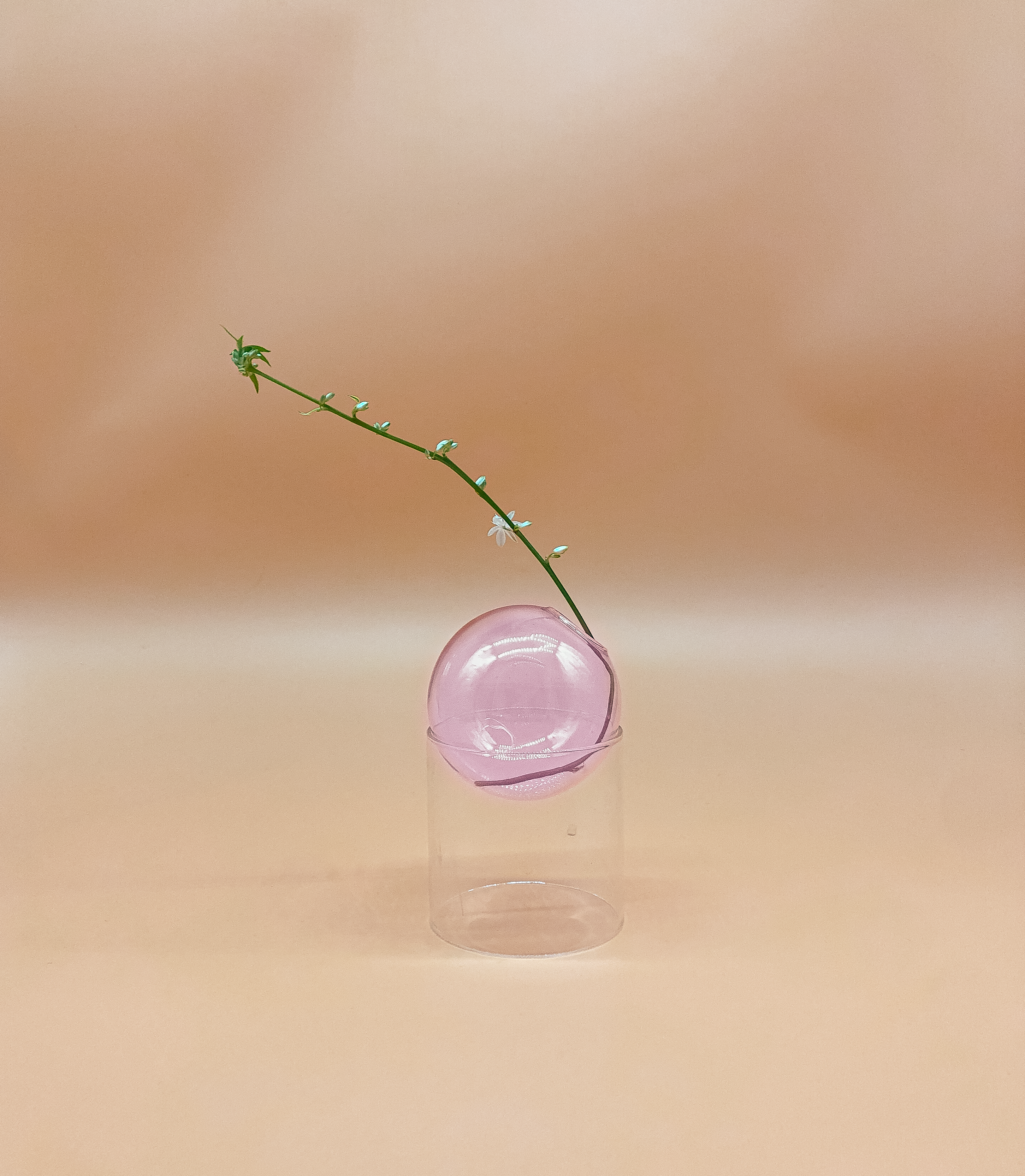Fishbowl Mini Vase in Rosé by PROSE Botanical