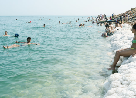 Sea Salt Bath - Lime & Teatree - Emporium of the Modern Man
 - 4