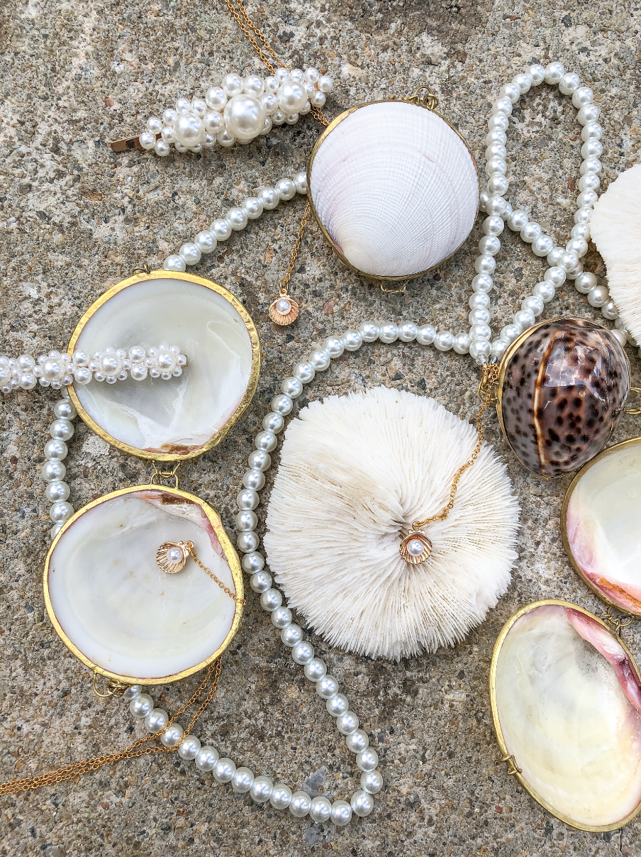 Mushroom Corals and Seashells by PROSE Décor