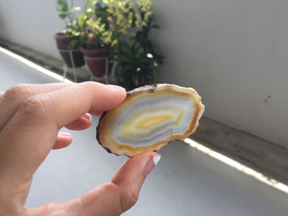 Agate Slice #5 by Vivian Lam
