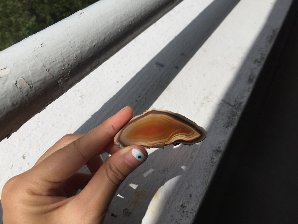 Agate Slice #13 by Vivian Lam