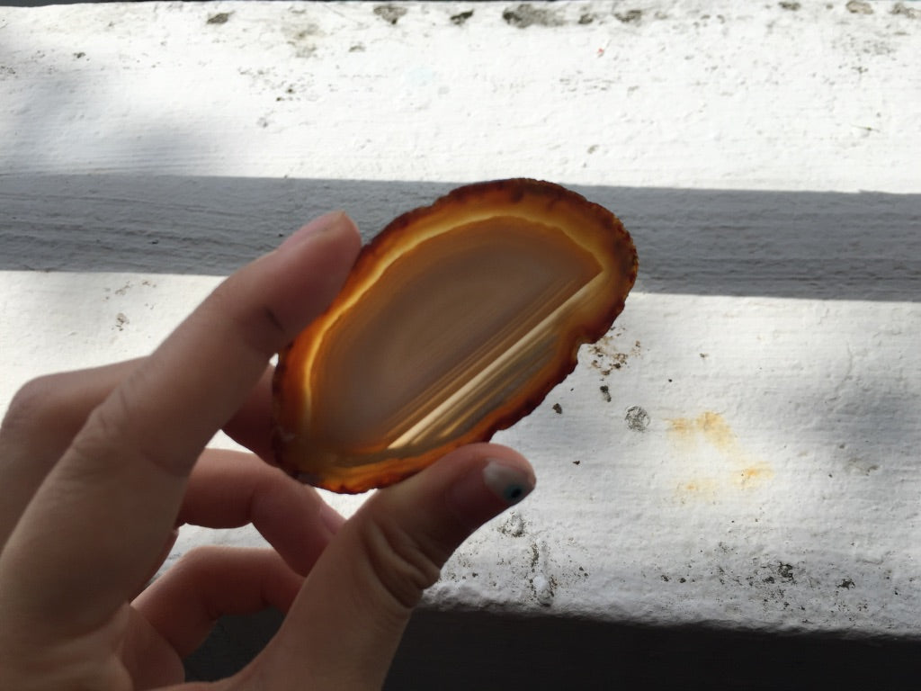 Agate Slice #11 by Vivian Lam