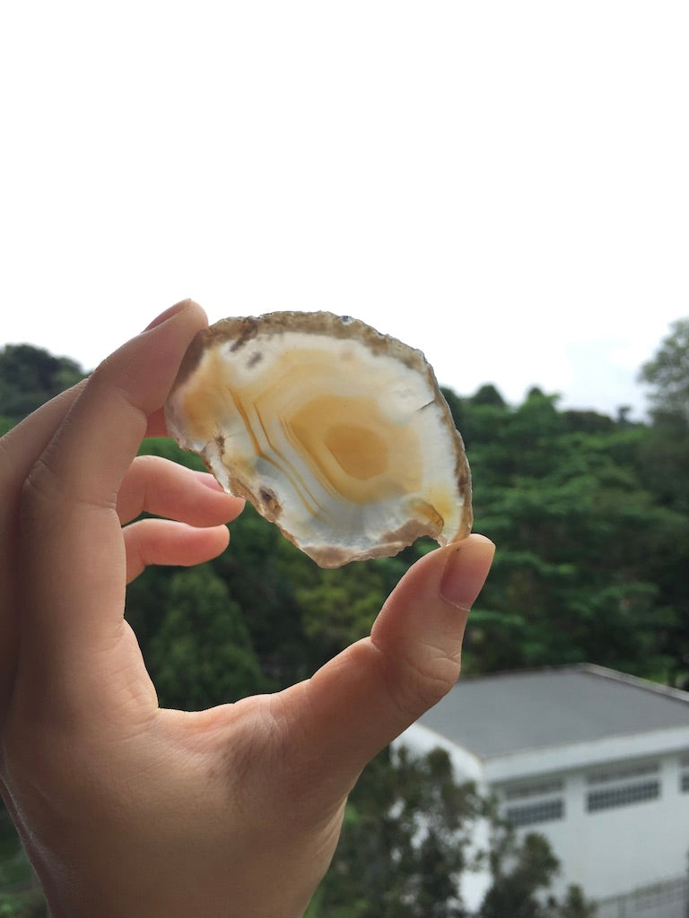 Agate Slice #35 by Vivian Lam