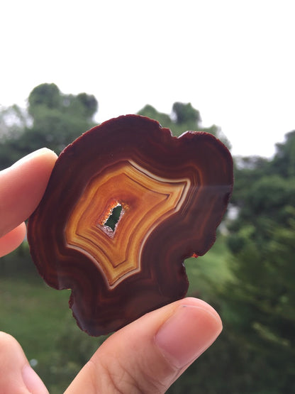Agate Slice #15 by Vivian Lam