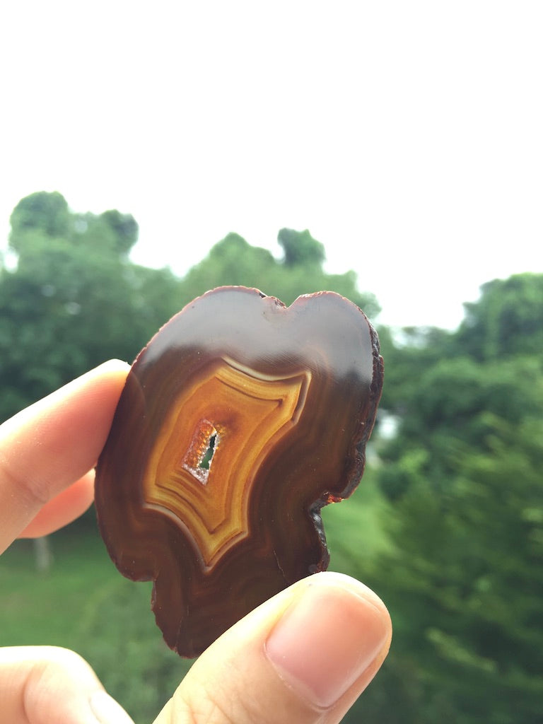Agate Slice #15 by Vivian Lam