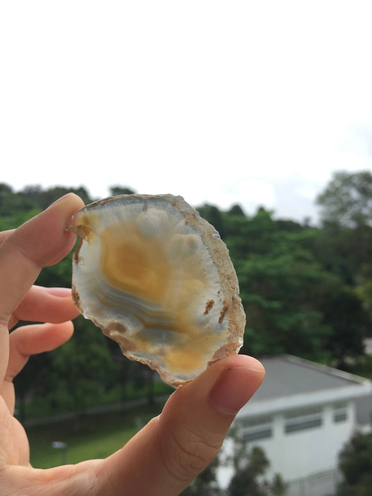 Agate Slice #35 by Vivian Lam