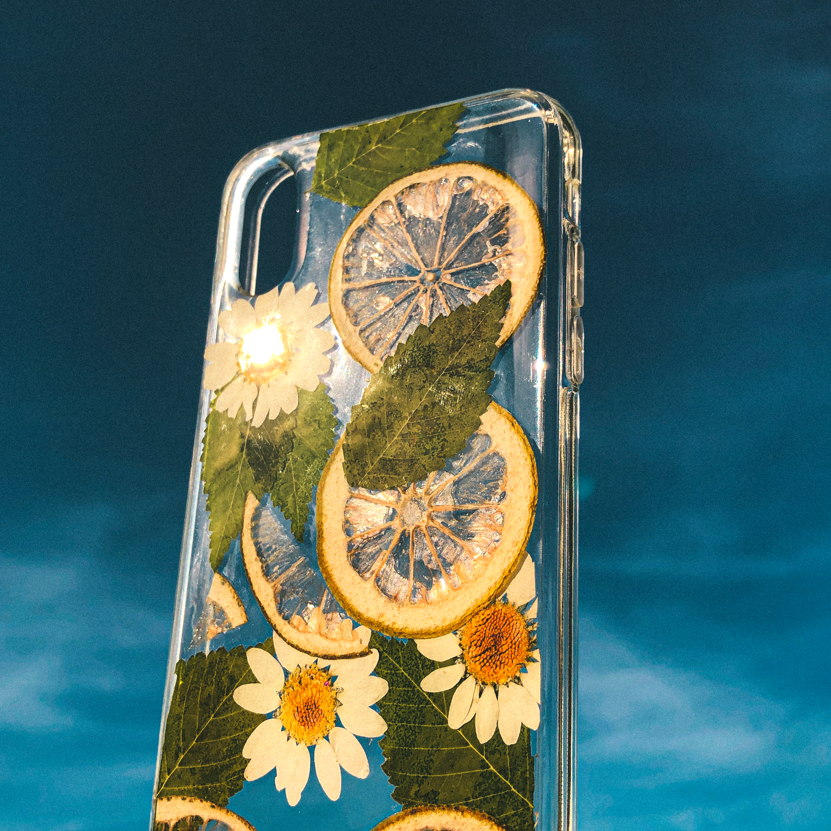 Pressed Lime Phone Case (iPhone X/XS)  by Veronique