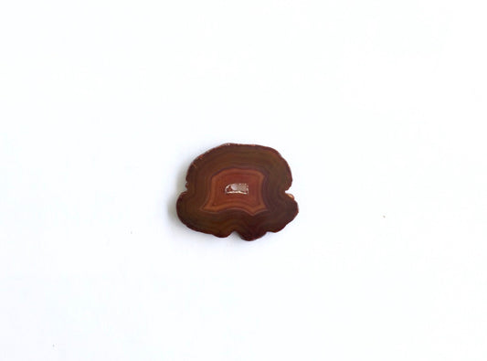 Agate Slice #15 by Vivian Lam