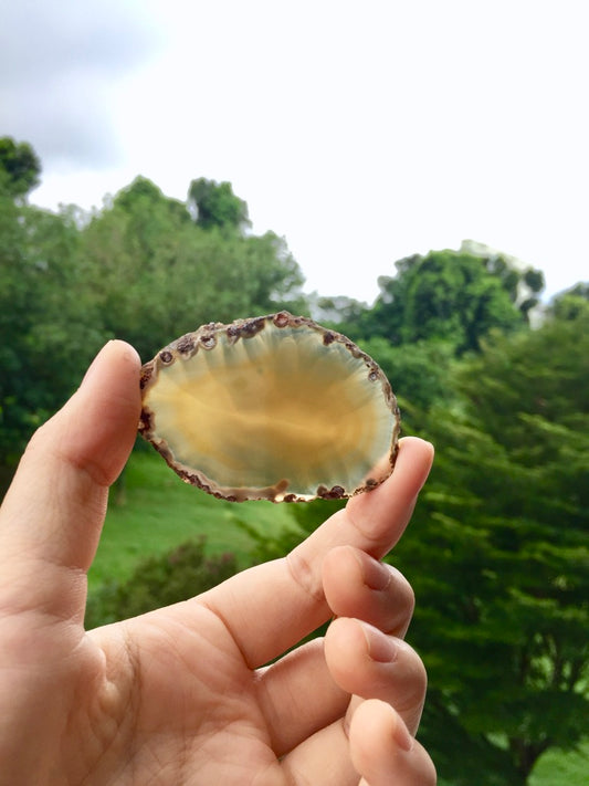 Agate Slice #40 by Vivian Lam