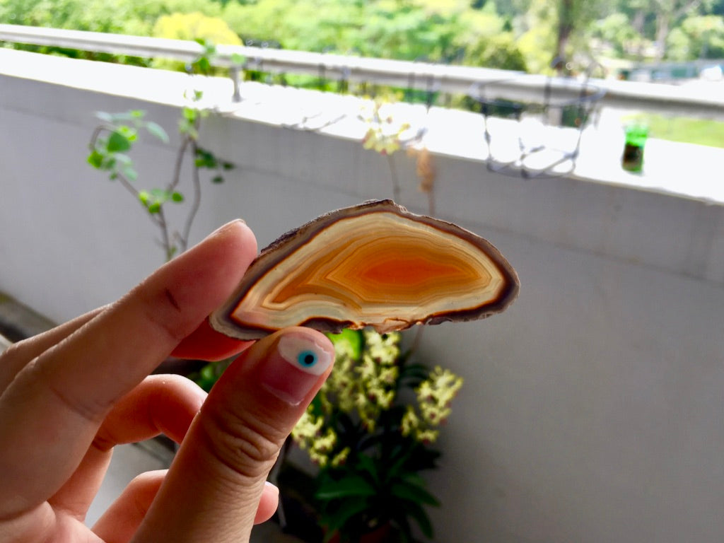 Agate Slice #13 by Vivian Lam