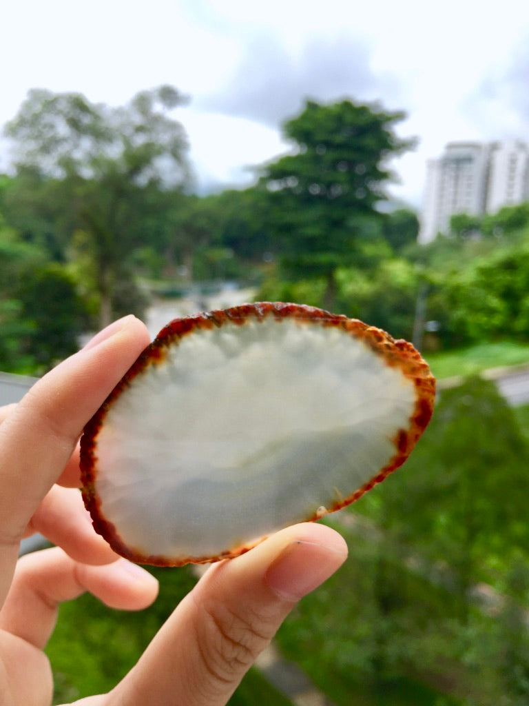 Agate Slice #36 by Vivian Lam