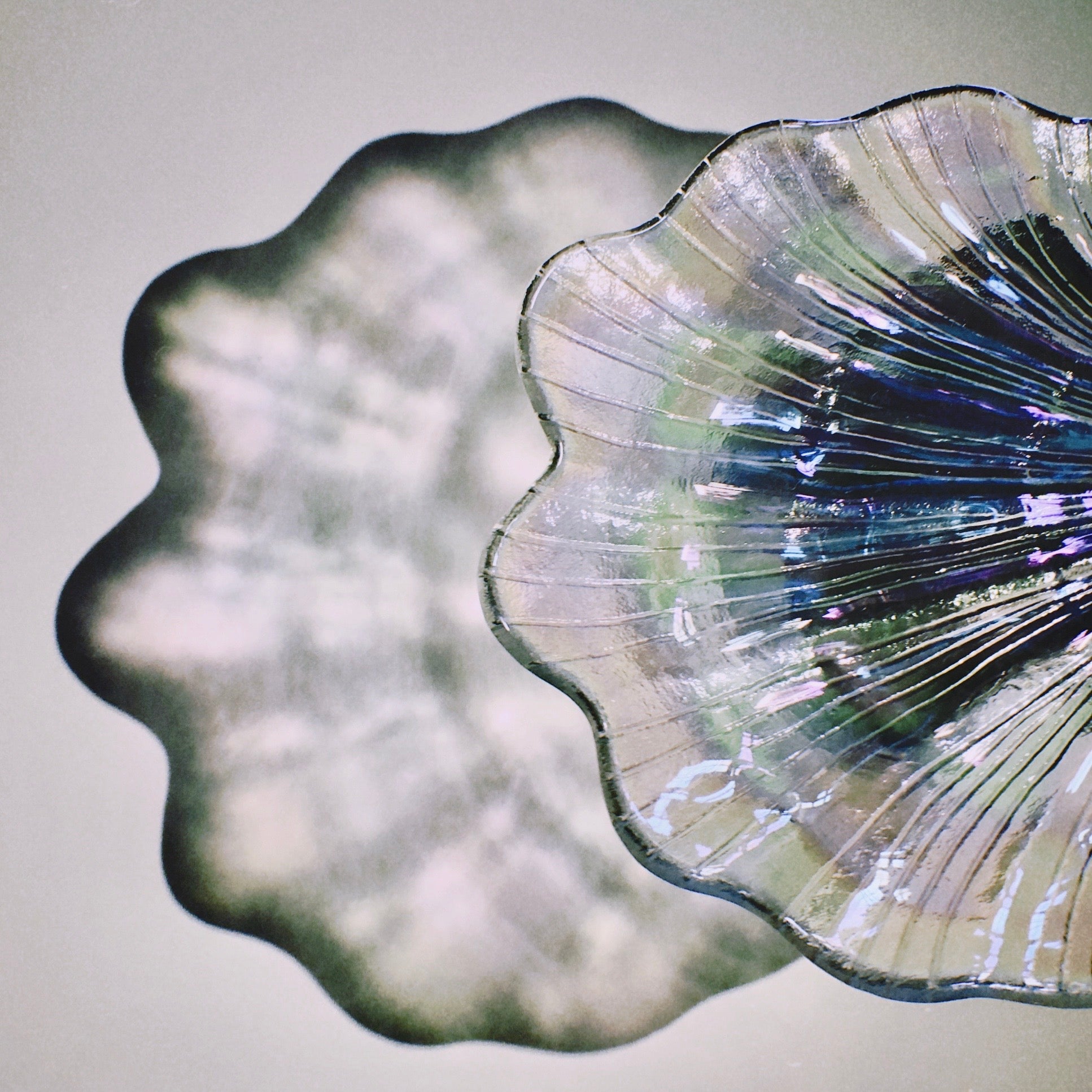 Holographic Shell Plates by PROSE Tabletop