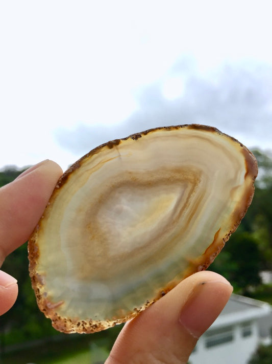 Agate Slice #37 by Vivian Lam