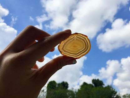 Agate Slice #14 by Vivian Lam