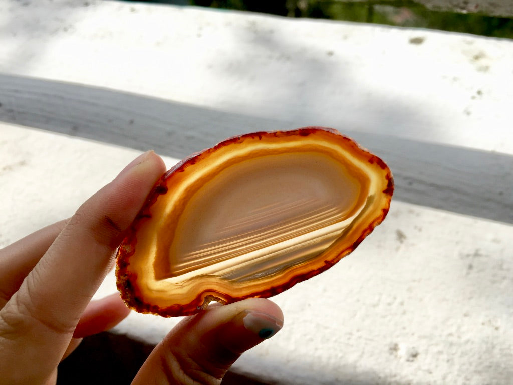 Agate Slice #11 by Vivian Lam