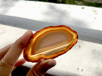 Agate Slice #11 by Vivian Lam