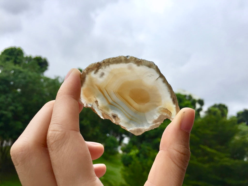 Agate Slice #35 by Vivian Lam
