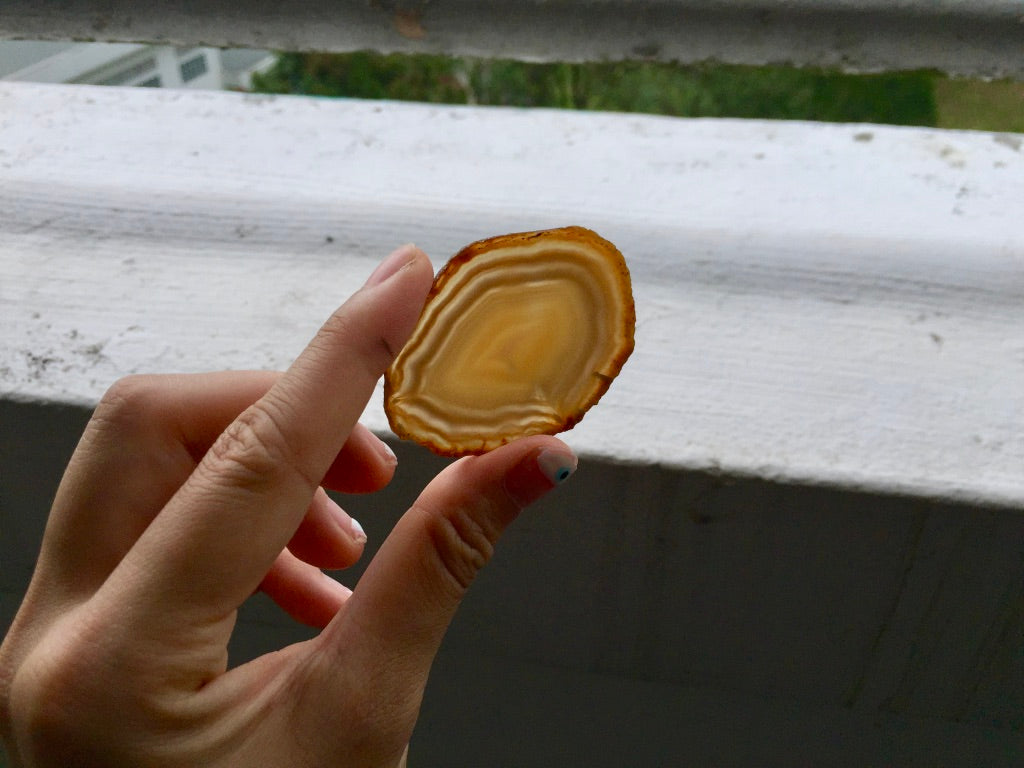 Agate Slice #14 by Vivian Lam