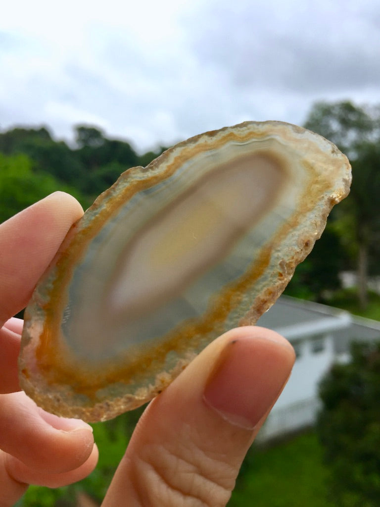 Agate Slice #31 by Vivian Lam