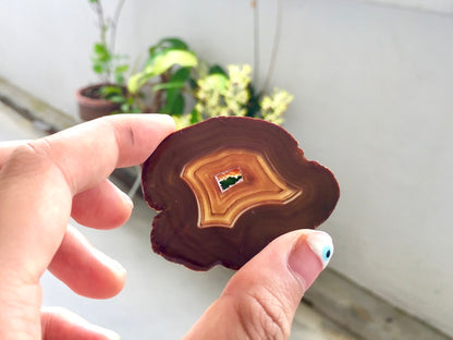 Agate Slice #15 by Vivian Lam