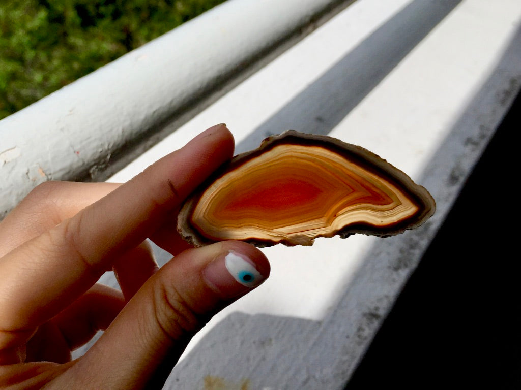 Agate Slice #13 by Vivian Lam